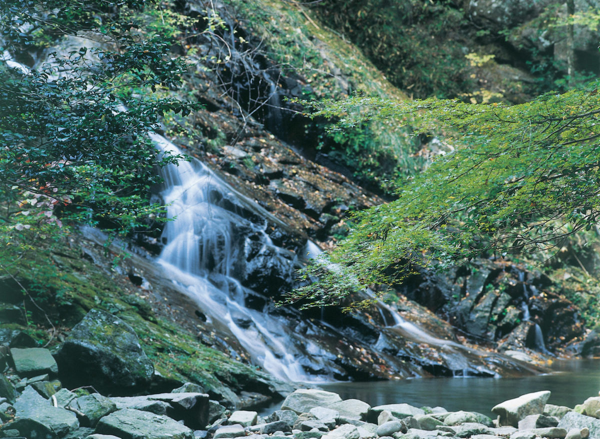 済浄坊の滝