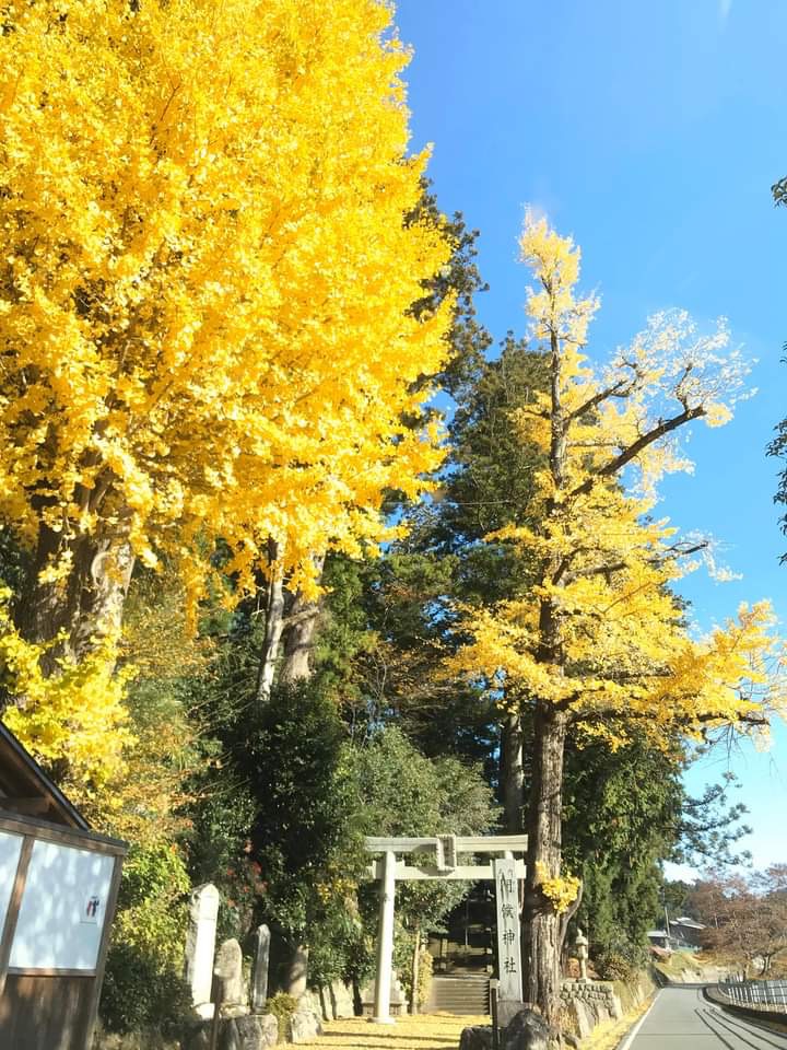 語り部と行く曽爾村パワースポット巡り！！