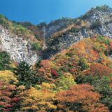 《春・夏ツアー受付開始》1番人気！曽爾高原～屏風岩公苑などを巡る貸切ツアー♪